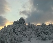 ……προς Σέρρες 31.12.2015