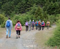 Κυπαρίσσι Λακωνίας 21-22.05.2016