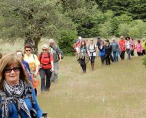 Κυπαρίσσι Λακωνίας 21-22.05.2016