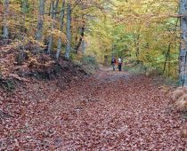 Πάϊκο 27-30.10.2016