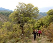 …προς Καλογερόλακα – Αρκαδία 08.05.2016