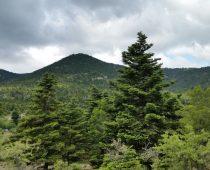 Κυπαρίσσι Λακωνίας 21-22.05.2016