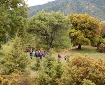 Καλογερόλακα – Αρκαδία 08.05.2016