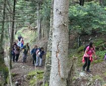 …προς Μαγούλιανα – Αρκαδίας 08.05.2016