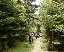 …προς Μαγούλιανα – Αρκαδίας 08.05.2016