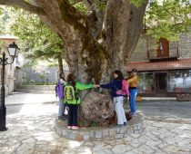 Μαγούλιανα – Αρκαδίας 08.05.2016