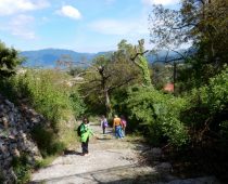 Μαγούλιανα – Αρκαδίας 08.05.2016