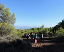 Εθνικός Δρυμός Σουνίου 11.12.2016