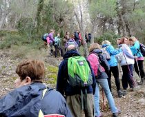 Όνεια Όρη Κορινθίας 05.02.2017