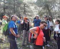 Σοφικό 08.04.2017