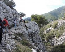 Δυτική Πάρνηθα – Φρούριο Φυλής 22.01.2017