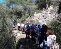 Σοφικό 08.04.2017