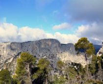 Δυτική Πάρνηθα – Κορυφή Άρμα 22.01.2017