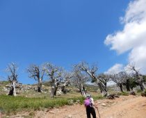 Κάρυστος 21.05.2017