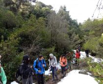 Δυτική Πάρνηθα – Κορυφή Άρμα 22.01.2017