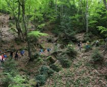 Καστανιά – κορυφή Μοράβα 30.04.2017