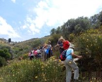 Τήνος 04.06.2017