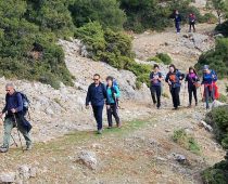 Βαλτεσινίκο – Λαγκάδια Αρκαδίας 12.11.2017