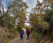 Κολλίνες Αρκαδίας 10.12.2017