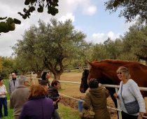 Πύργος Βασιλίσσης 03.12.2017