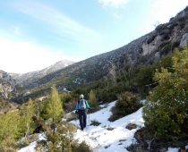 Δυτική Πάρνηθα – Κορυφή Άρμα 22.01.2017