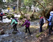 Δυτική Πάρνηθα – Κορυφή Άρμα 22.01.2017