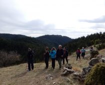 Βαλτεσινίκο – Λαγκάδια Αρκαδίας 12.11.2017