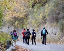 Βαλτεσινίκο – Λαγκάδια Αρκαδίας 12.11.2017