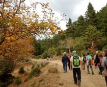 Ορεινή Ναυπακτία 21-22.10.2017