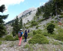 Ξηροβούνι – Εύβοια 13.05.2018