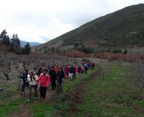 Δάσος Μογγοστού Κορινθίας 25.02.2018