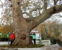 Πήλιο 24-25.11.2018