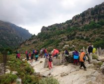 Φαράγγι Αγ. Δημητρίου 24.06.2018