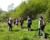 Καταρράκτης Λειβαδίτη 30.04.2018