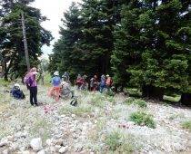 Ξηροβούνι – Εύβοια 13.05.2018