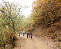 Γουλινάς Φθιώτιδας 11.11.2018