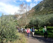 Μπίλιοβο – Μεσσηνία 09.12.2018