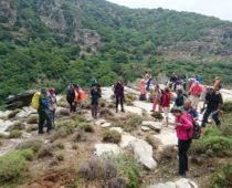 Φαράγγι Αγ. Δημητρίου 24.06.2018