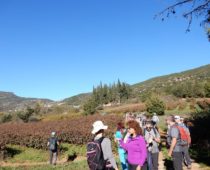 Φενεός – Ντουρντουβάνα 27-28.10.2018