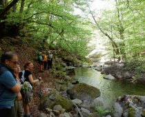 Καταρράκτης Λειβαδίτη 30.04.2018