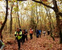 Γουλινάς Φθιώτιδας 11.11.2018