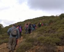 Δάσος Μογγοστού Κορινθίας 25.02.2018