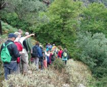 Φαράγγι Αγ. Δημητρίου 24.06.2018