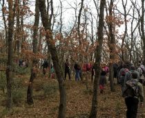 Δάσος Μογγοστού Κορινθίας 25.02.2018