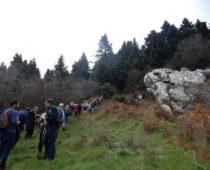 Γουλινάς Φθιώτιδας 11.11.2018