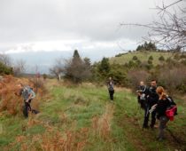 Γουλινάς Φθιώτιδας 11.11.2018