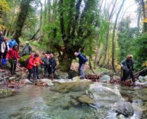 Πήλιο 24-25.11.2018