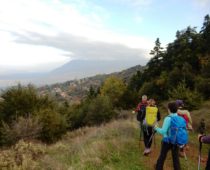 Γουλινάς Φθιώτιδας 11.11.2018