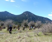 Καλλίδρομο – Μονοπάτι του Εφιάλτη 11.03.2018