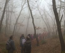 Δάσος Μογγοστού Κορινθίας 25.02.2018